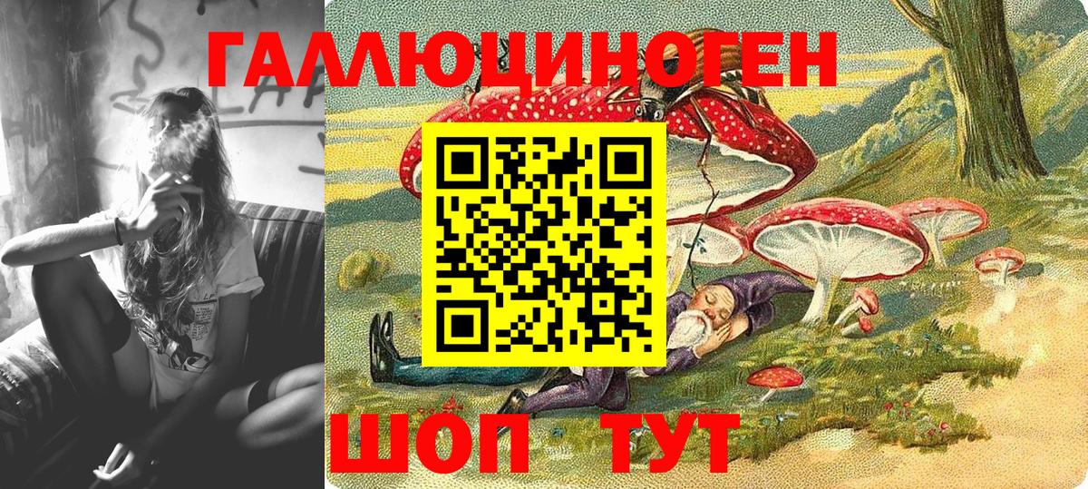 Псилоцибиновые грибы Psilocybe  Вход с VPN  Ипатово 